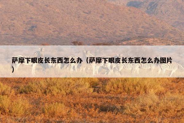 萨摩下眼皮长东西怎么办（萨摩下眼皮长东西怎么办图片）