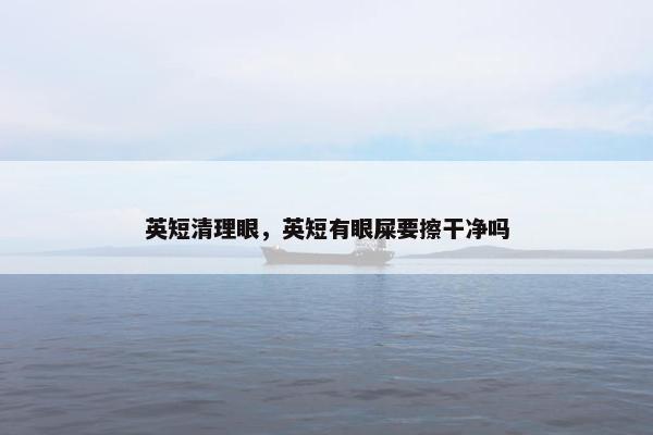 英短清理眼，英短有眼屎要擦干净吗