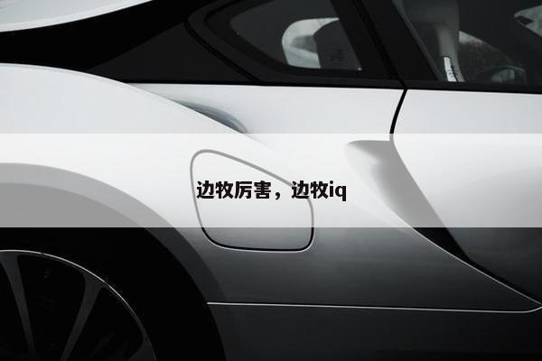 边牧厉害，边牧iq