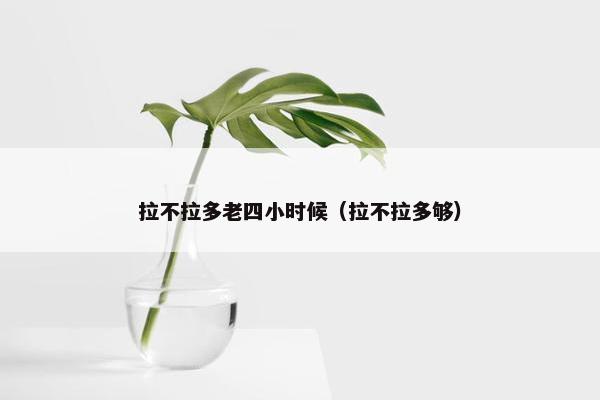 拉不拉多老四小时候(拉不拉多够)