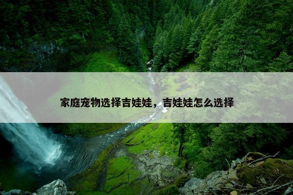家庭宠物选择吉娃娃，吉娃娃怎么选择
