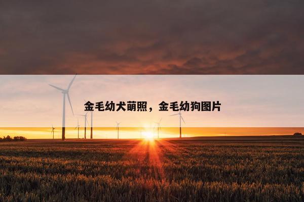 金毛幼犬萌照，金毛幼狗图片