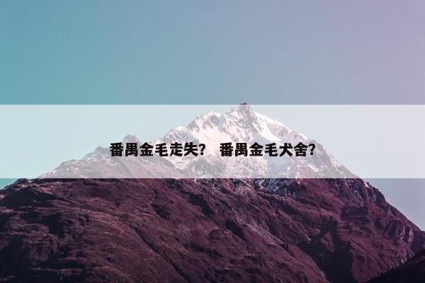 番禺金毛走失？ 番禺金毛犬舍？