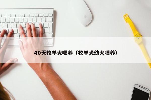 40天牧羊犬喂养（牧羊犬幼犬喂养）