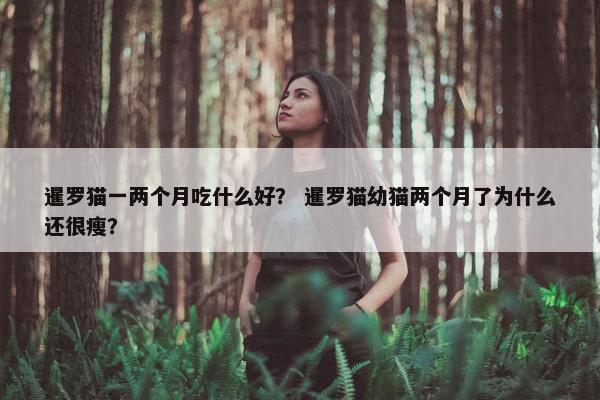 暹罗猫一两个月吃什么好？ 暹罗猫幼猫两个月了为什么还很瘦？