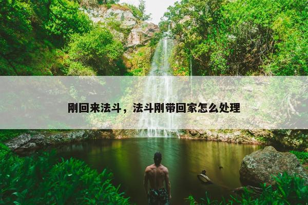 刚回来法斗，法斗刚带回家怎么处理