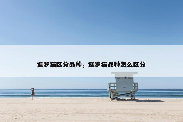 暹罗猫区分品种，暹罗猫品种怎么区分