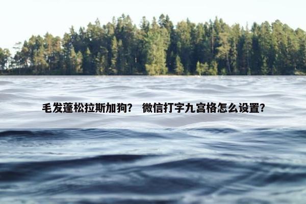 毛发蓬松拉斯加狗? 微信打字九宫格怎么设置?
