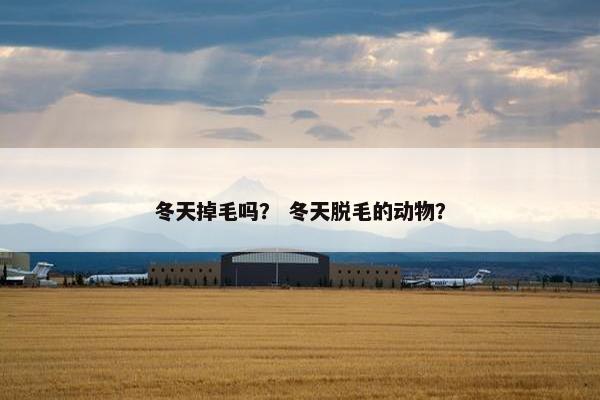 冬天掉毛吗? 冬天脱毛的动物?