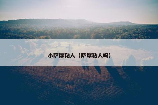 小萨摩粘人（萨摩粘人吗）