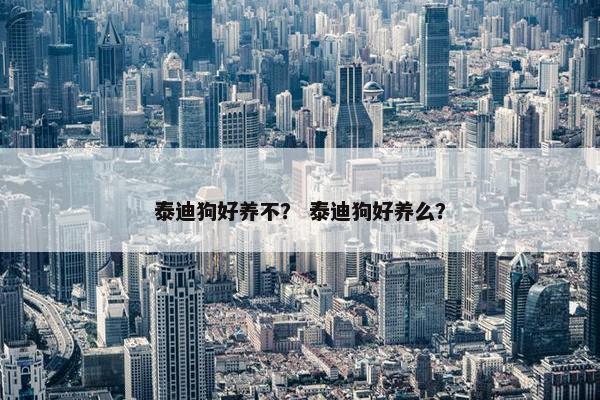 泰迪狗好养不？ 泰迪狗好养么？
