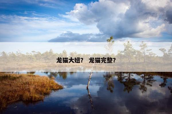 龙猫大妞？ 龙猫完整？