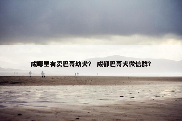 成哪里有卖巴哥幼犬？ 成都巴哥犬微信群？