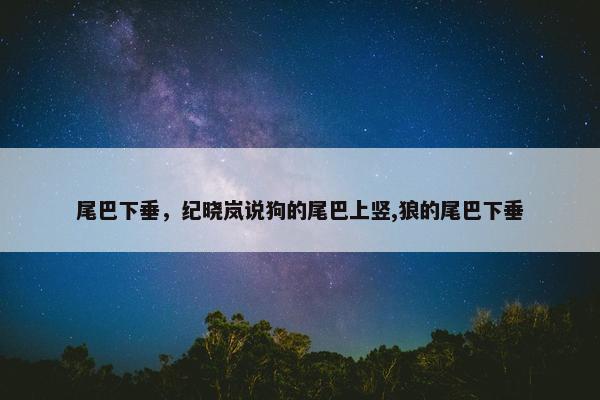尾巴下垂，纪晓岚说狗的尾巴上竖,狼的尾巴下垂