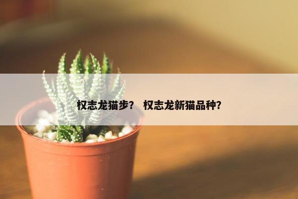 权志龙猫步？ 权志龙新猫品种？