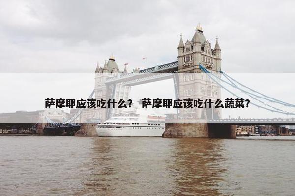 萨摩耶应该吃什么？ 萨摩耶应该吃什么蔬菜？