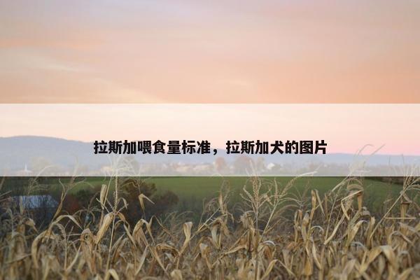 拉斯加喂食量标准，拉斯加犬的图片