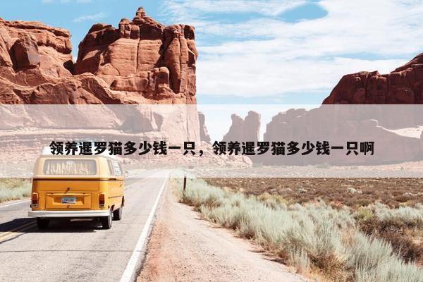 领养暹罗猫多少钱一只，领养暹罗猫多少钱一只啊