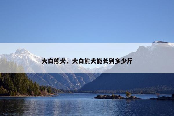 大白熊犬，大白熊犬能长到多少斤