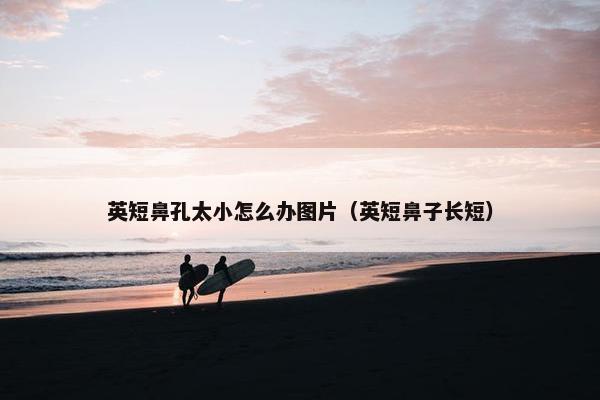 英短鼻孔太小怎么办图片（英短鼻子长短）