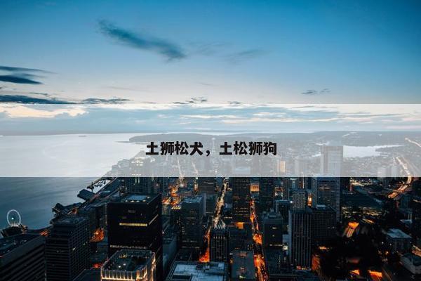土狮松犬，土松狮狗