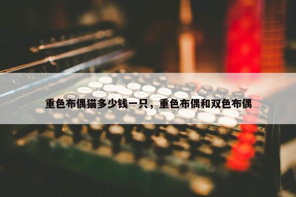 重色布偶猫多少钱一只，重色布偶和双色布偶