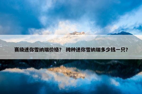 赛级迷你雪纳瑞价格？ 纯种迷你雪纳瑞多少钱一只？