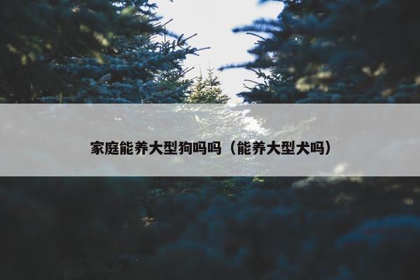 家庭能养大型狗吗吗（能养大型犬吗）