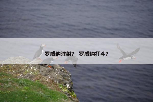 罗威纳注射？ 罗威纳打斗？