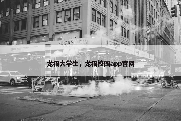龙猫大学生，龙猫校园app官网