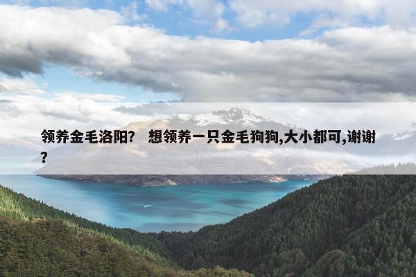 领养金毛洛阳？ 想领养一只金毛狗狗,大小都可,谢谢？