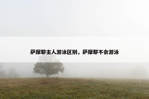 萨摩耶主人游泳区别，萨摩耶不会游泳