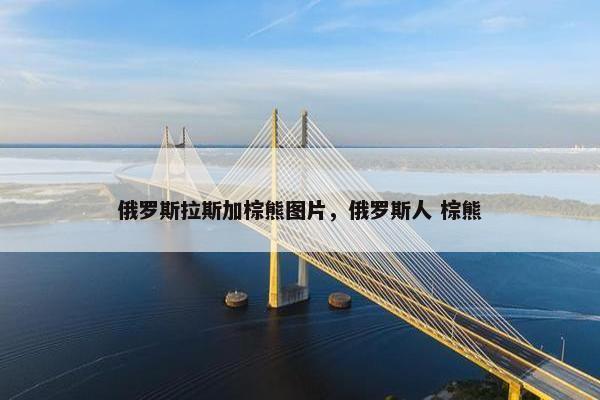 俄罗斯拉斯加棕熊图片，俄罗斯人 棕熊