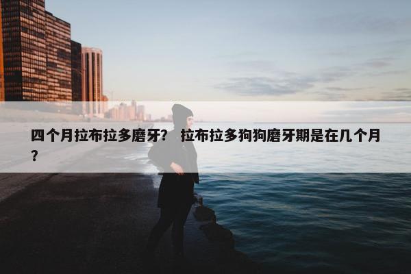 四个月拉布拉多磨牙？ 拉布拉多狗狗磨牙期是在几个月？