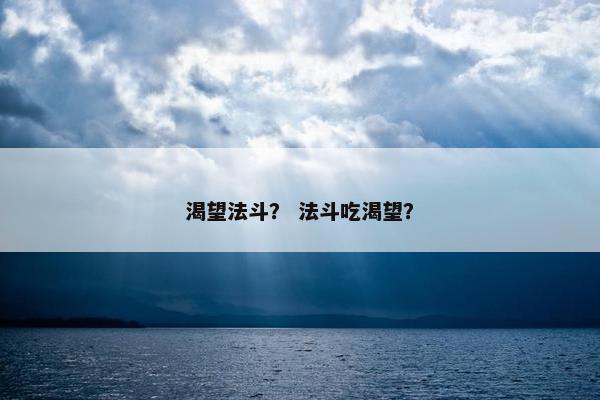 渴望法斗？ 法斗吃渴望？