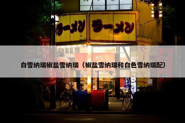 白雪纳瑞椒盐雪纳瑞（椒盐雪纳瑞和白色雪纳瑞配）