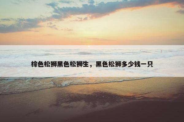 棕色松狮黑色松狮生，黑色松狮多少钱一只