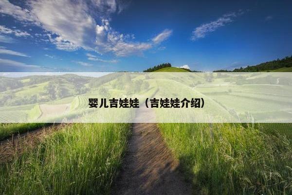婴儿吉娃娃（吉娃娃介绍）