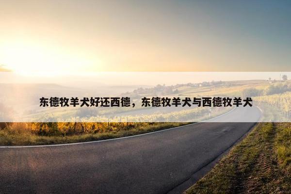东德牧羊犬好还西德，东德牧羊犬与西德牧羊犬