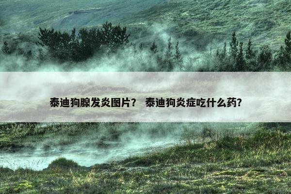 泰迪狗腺发炎图片？ 泰迪狗炎症吃什么药？