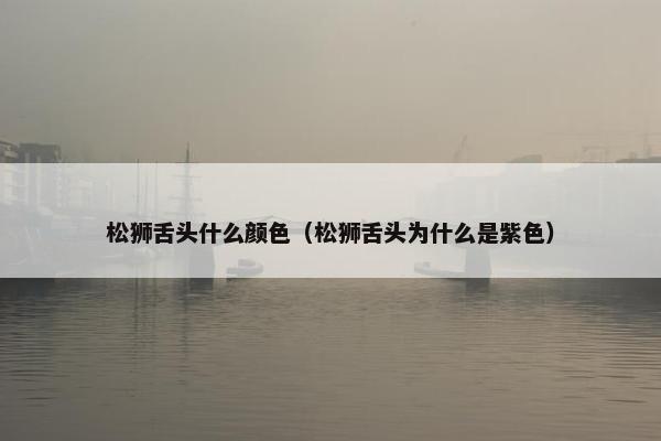 松狮舌头什么颜色（松狮舌头为什么是紫色）