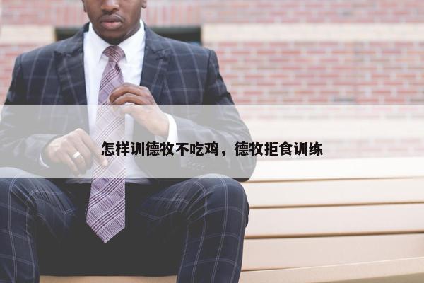 怎样训德牧不吃鸡，德牧拒食训练