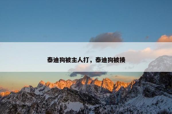 泰迪狗被主人打，泰迪狗被揍