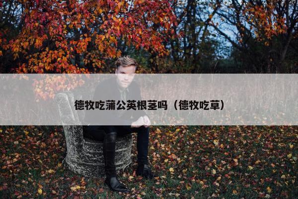 德牧吃蒲公英根茎吗（德牧吃草）