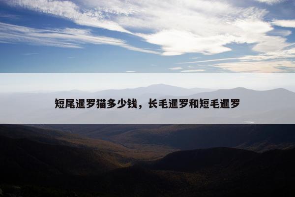 短尾暹罗猫多少钱，长毛暹罗和短毛暹罗