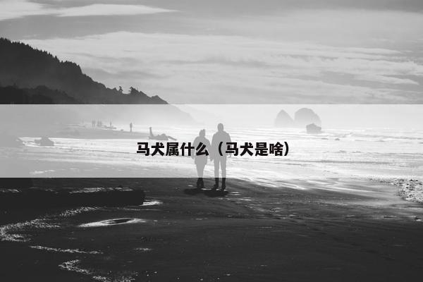 马犬属什么（马犬是啥）