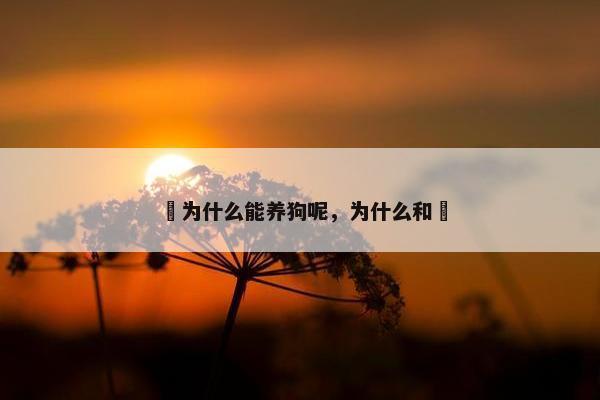 珅为什么能养狗呢，为什么和珅