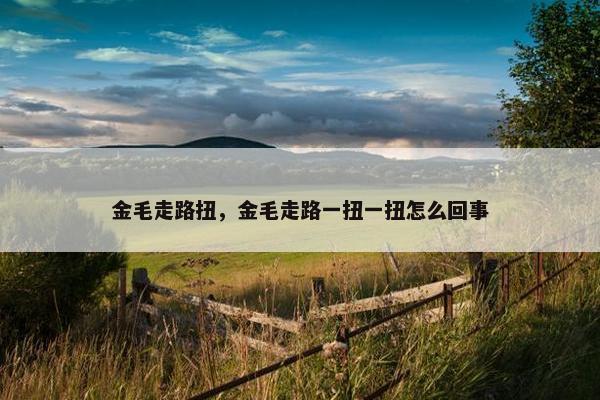 金毛走路扭，金毛走路一扭一扭怎么回事
