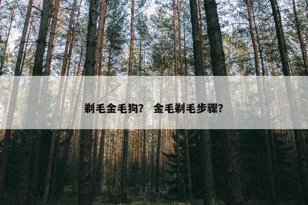 剃毛金毛狗？ 金毛剃毛步骤？
