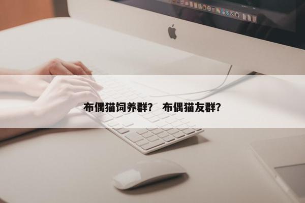 布偶猫饲养群？ 布偶猫友群？